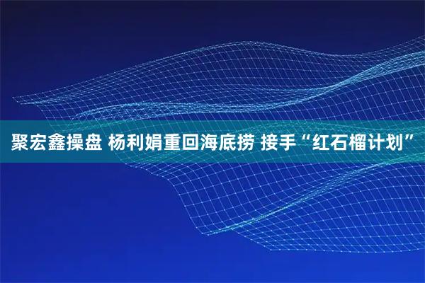 聚宏鑫操盘 杨利娟重回海底捞 接手“红石榴计划”
